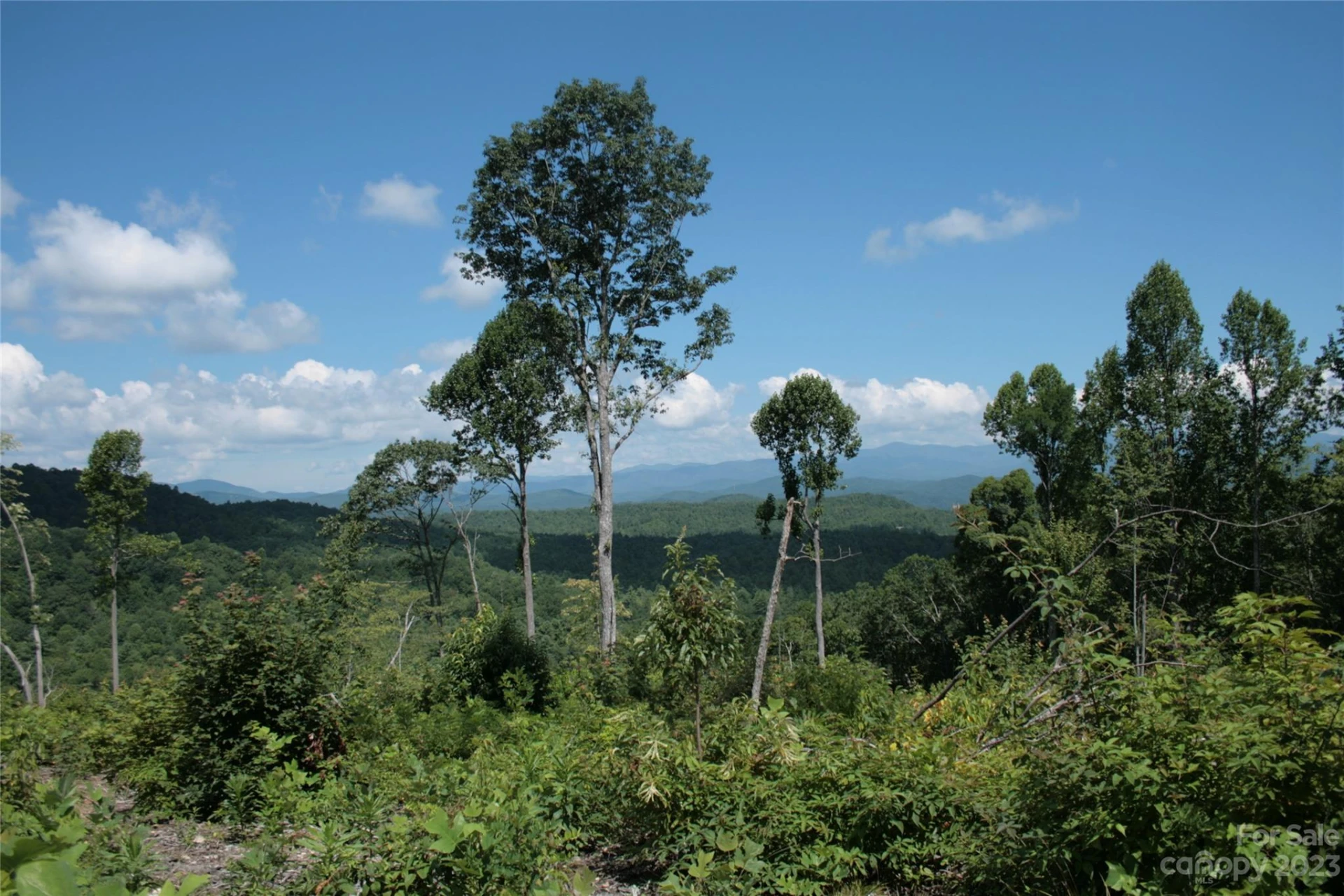 TBD Nancy Mountain Road - Photo 35