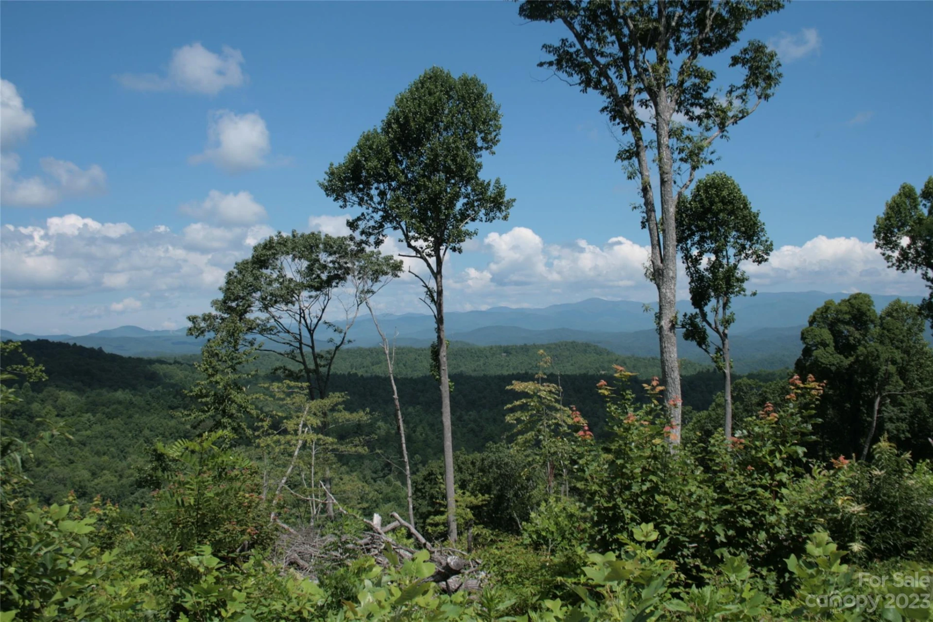 TBD Nancy Mountain Road - Photo 37