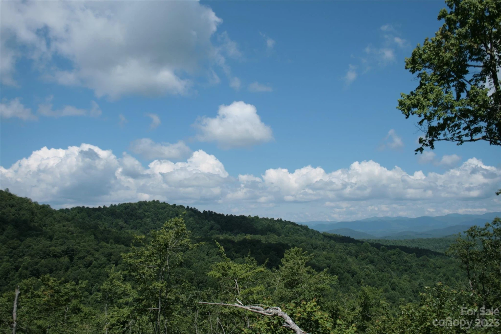 TBD Nancy Mountain Road - Photo 38