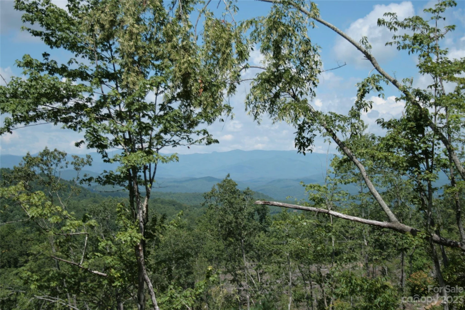 TBD Nancy Mountain Road - Photo 39