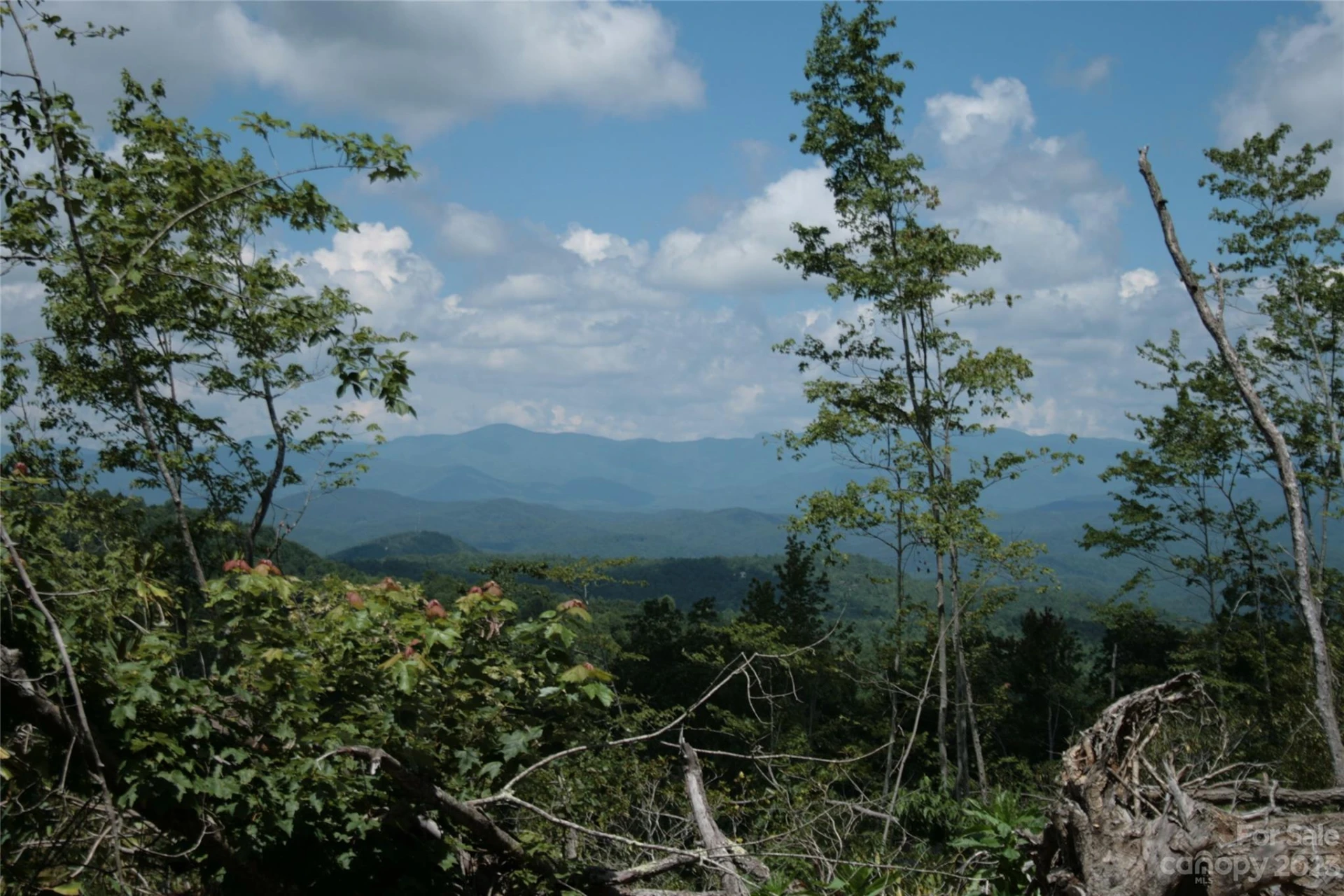 TBD Nancy Mountain Road - Photo 40