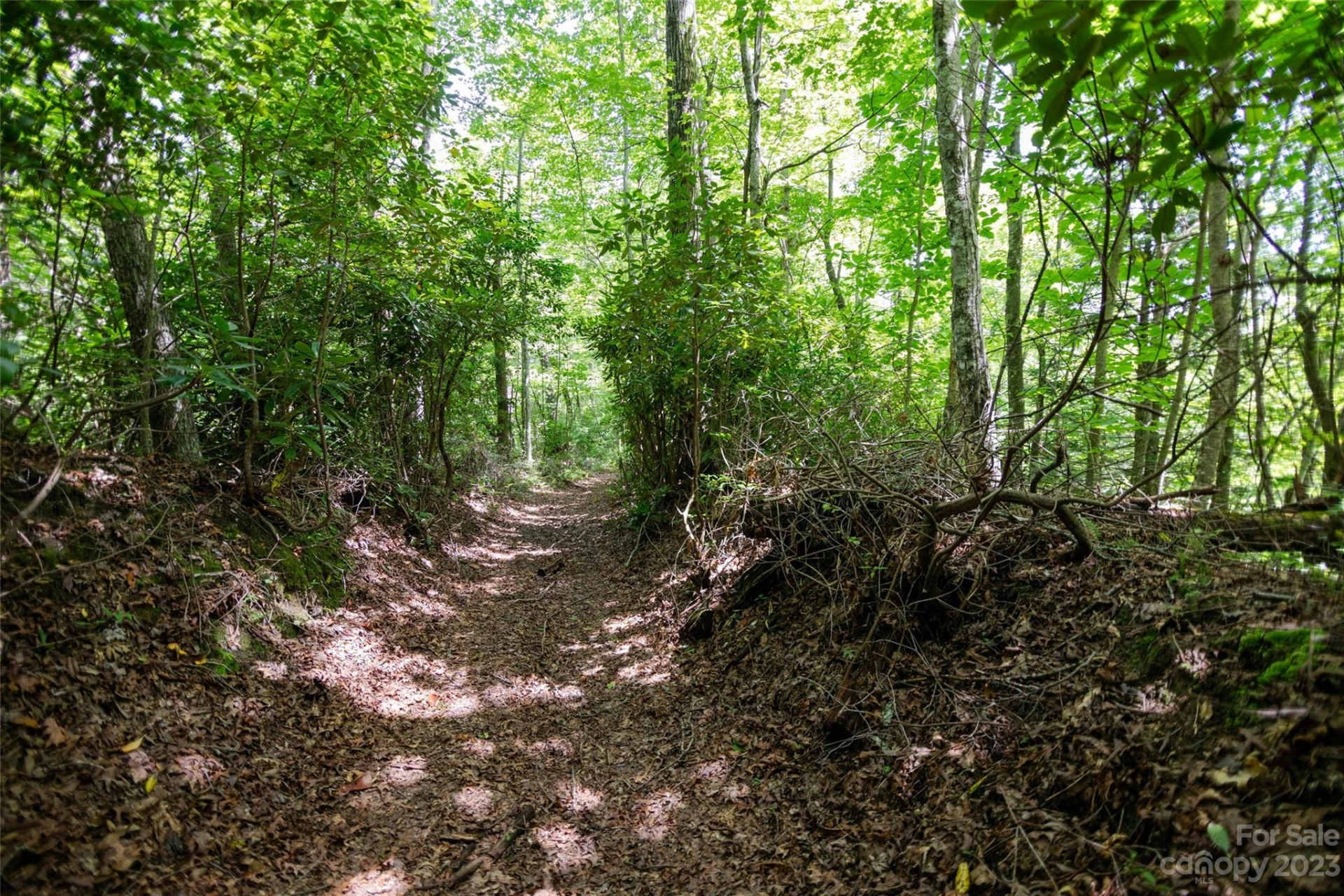 TBD Nancy Mountain Road - Photo 5