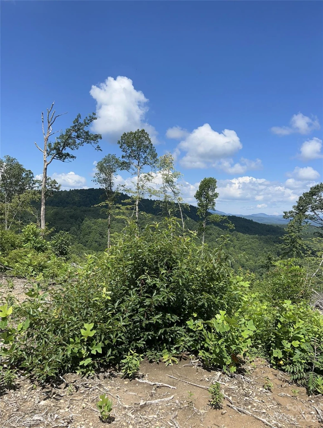 TBD Nancy Mountain Road - Photo 41