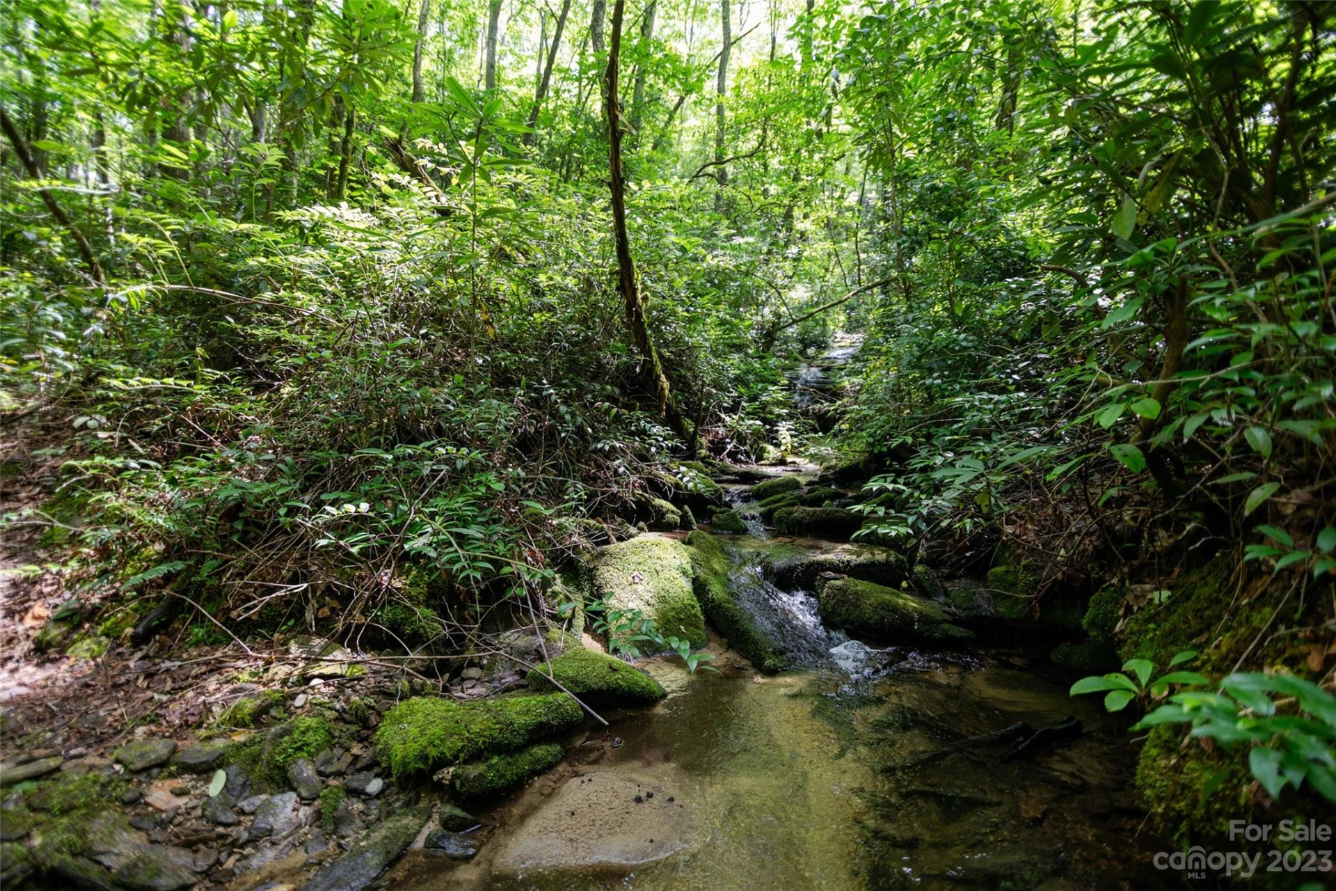 TBD Nancy Mountain Road - Photo 6