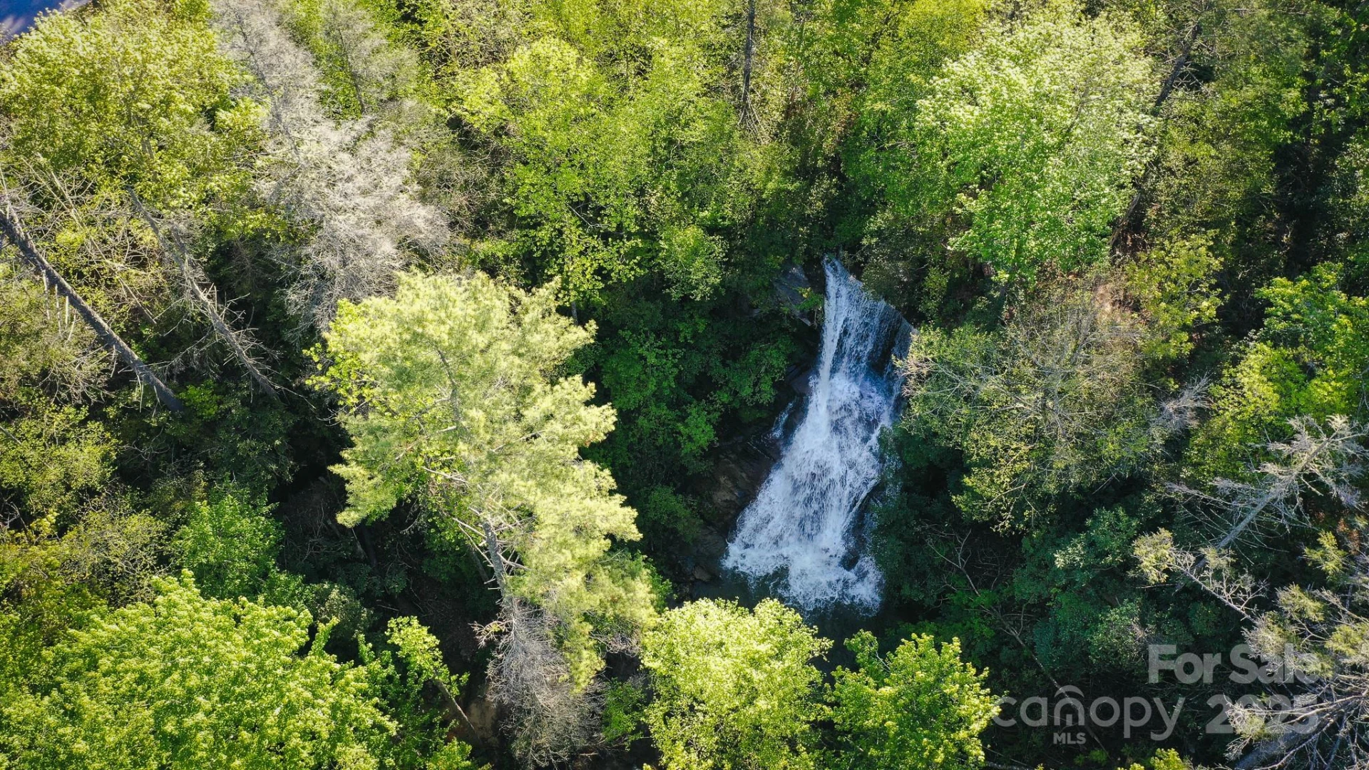 43 Abby Falls Drive #43 - Photo 19