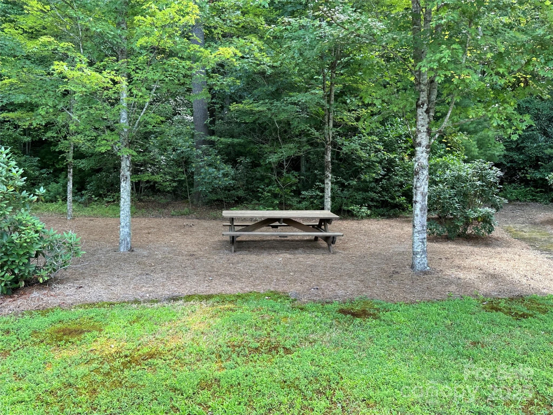 43 Abby Falls Drive #43 - Photo 24