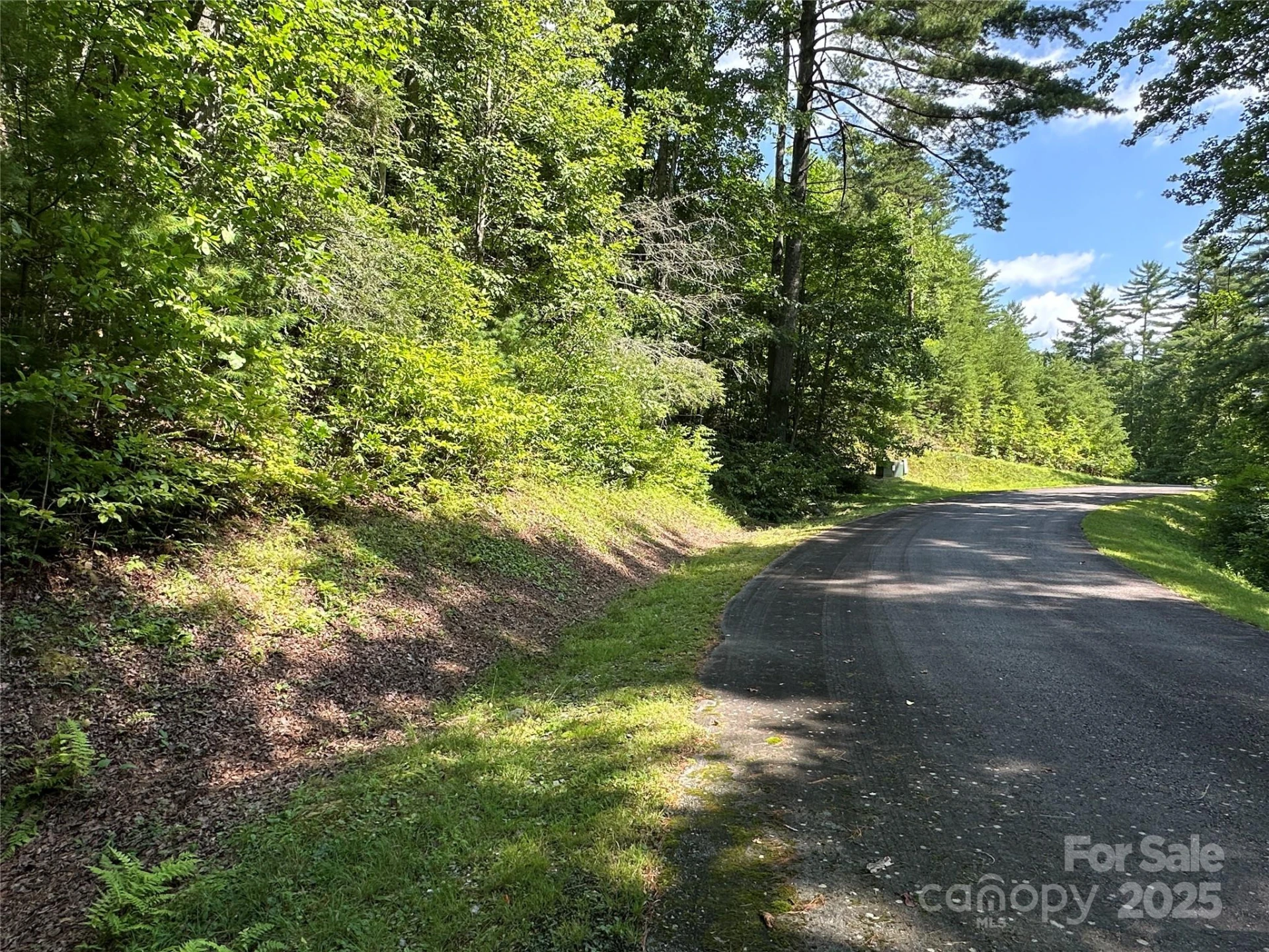 43 Abby Falls Drive #43 - Photo 34