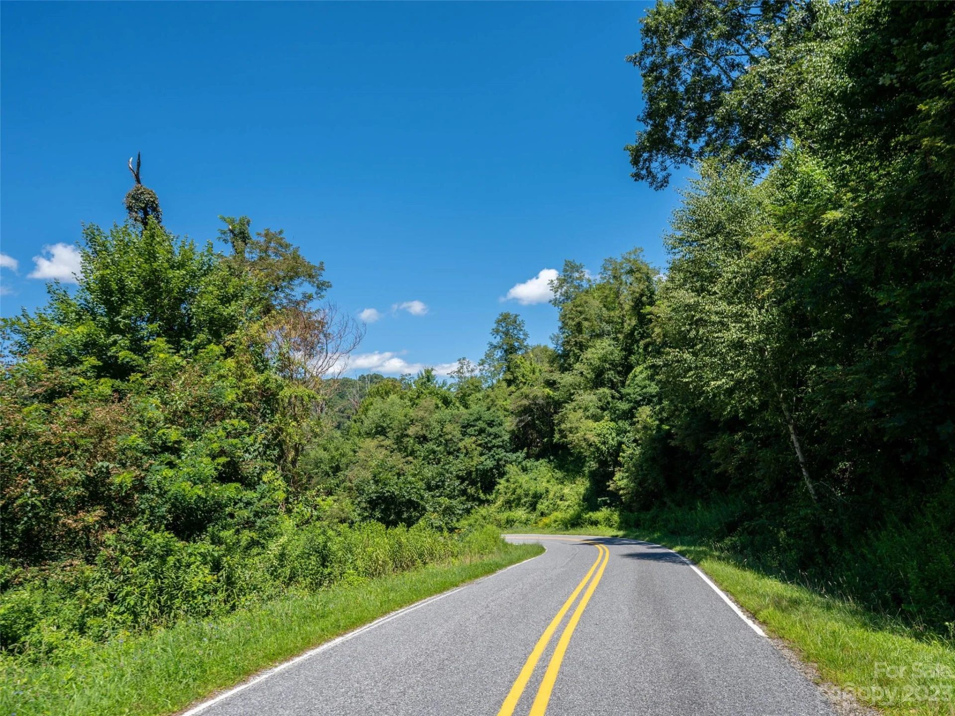 00 Crabtree Mountain Road - Photo 23