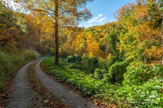 99999 Harwood Road, Barnardsville, NC, 28709