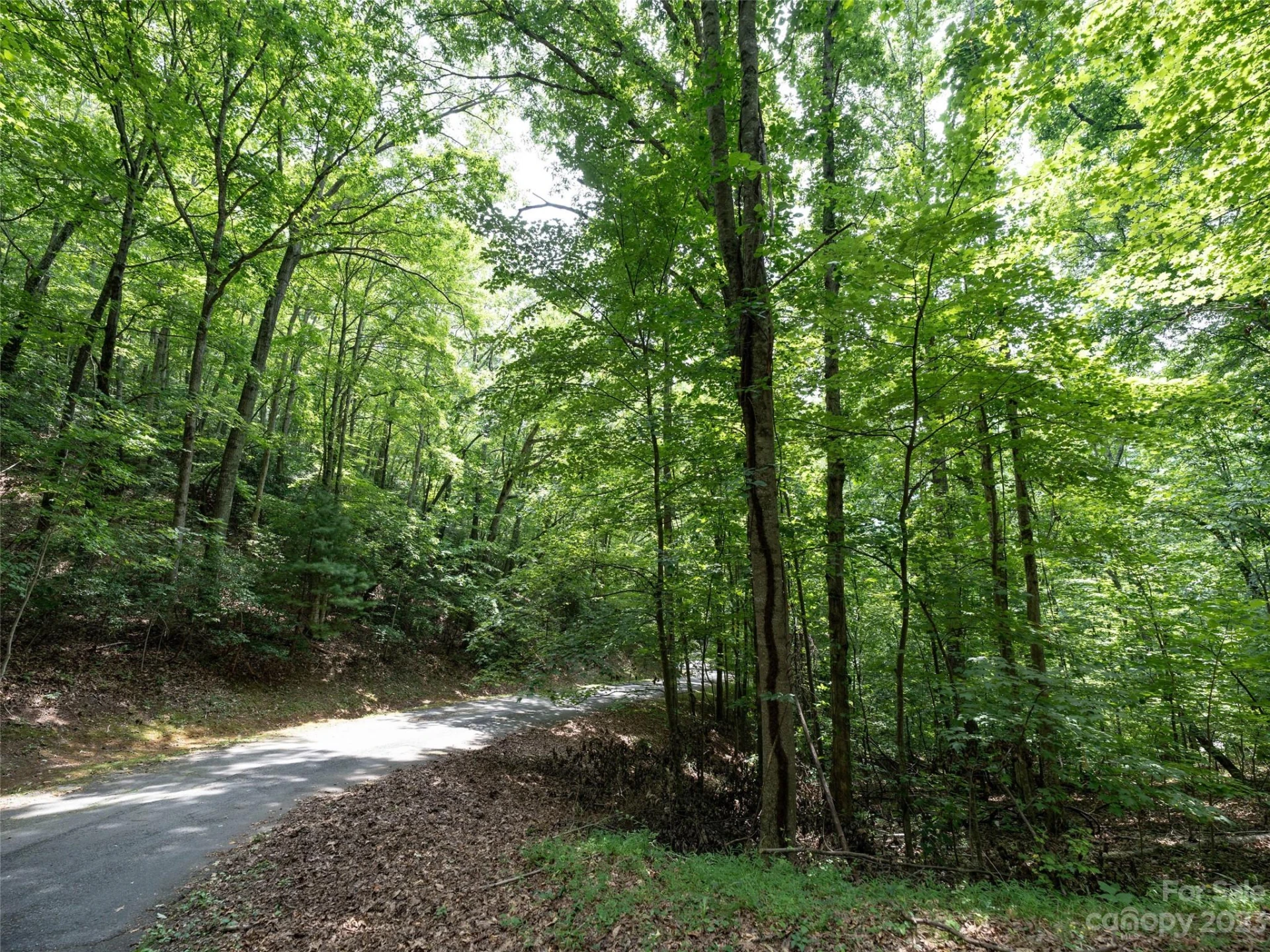 00 Grouse Ridge Road #1 - Photo 2