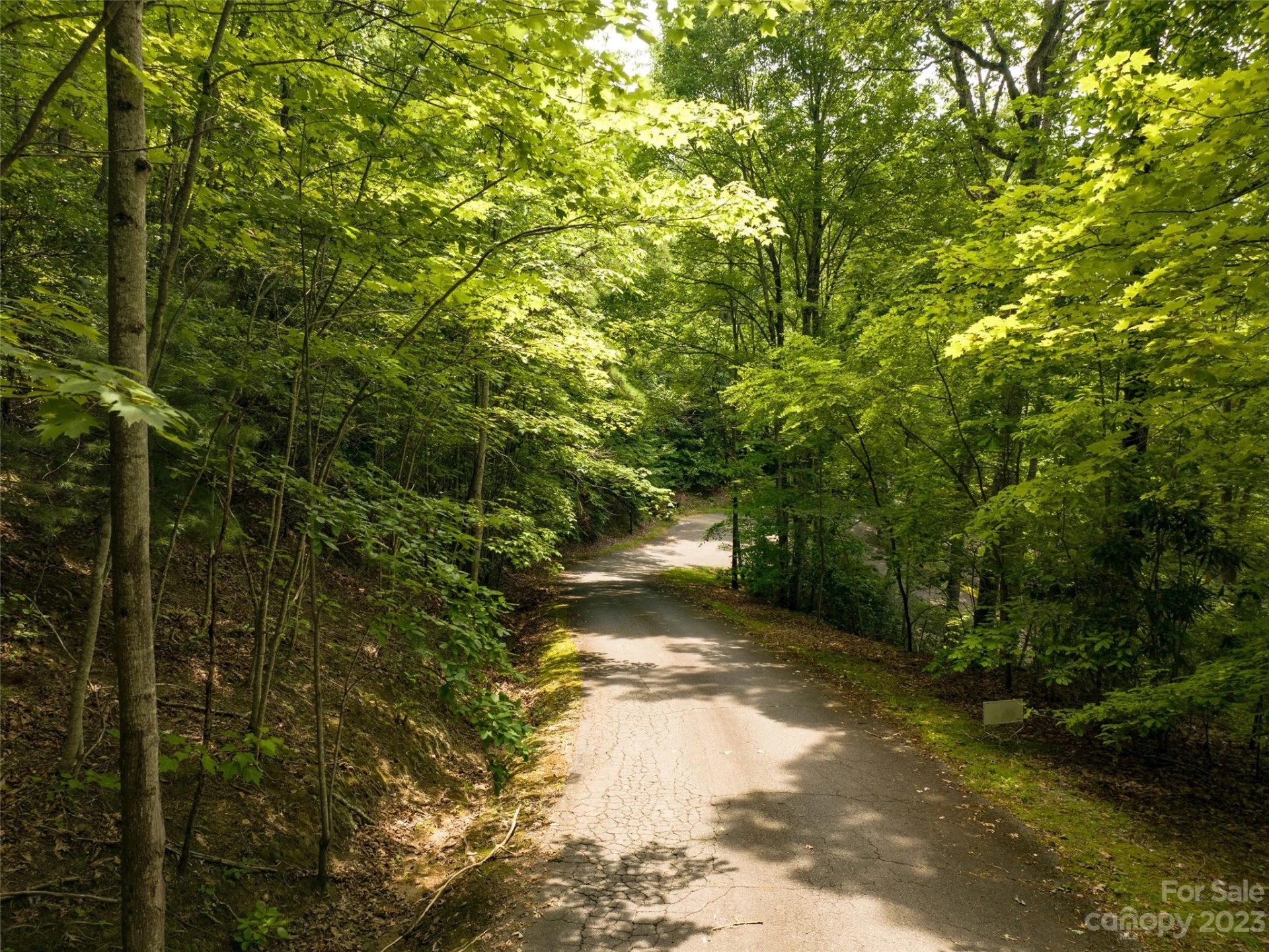 00 Grouse Ridge Road #1 - Photo 11