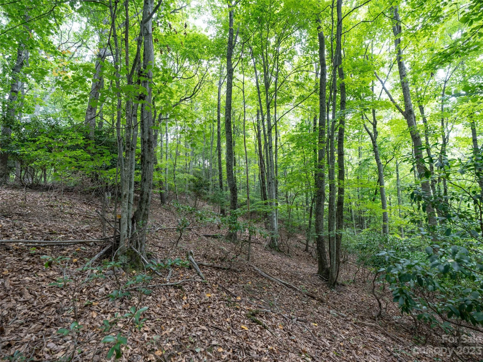 00 Grouse Ridge Road #2 - Photo 2