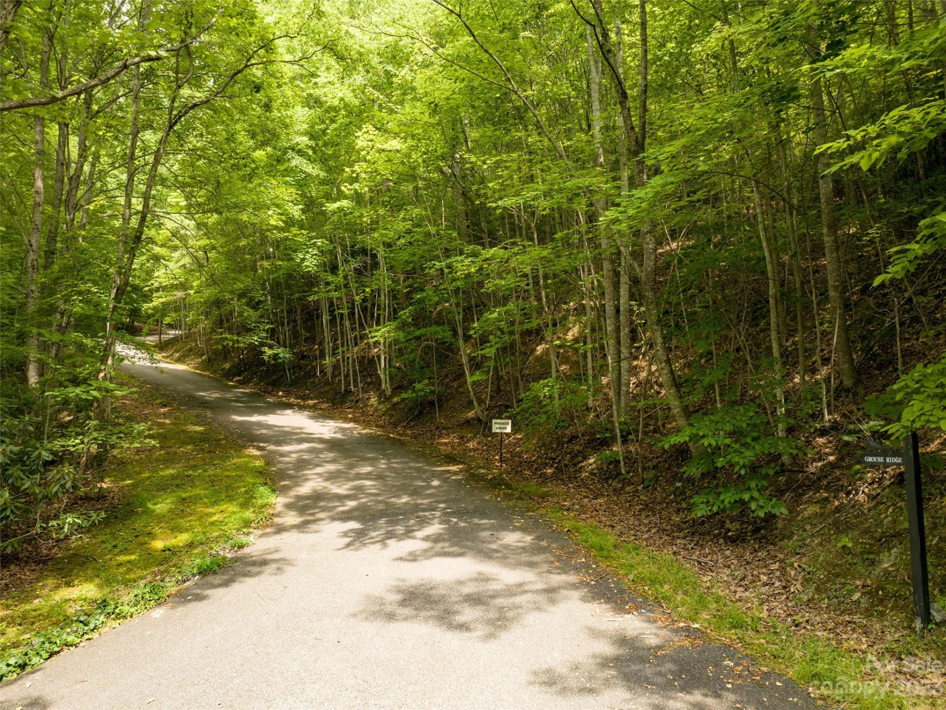00 Grouse Ridge Road #2 - Photo 13