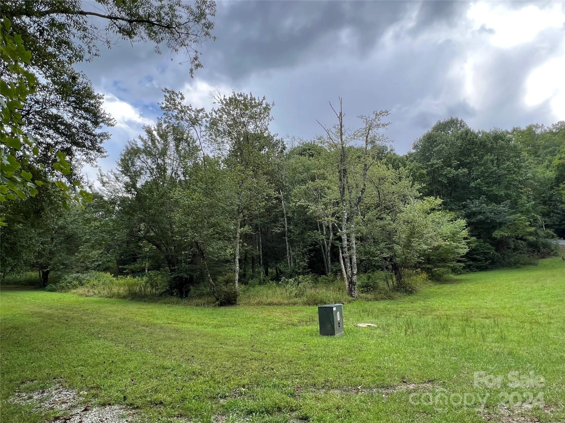 L 3 Sweetwater Ridge Road - Photo 11