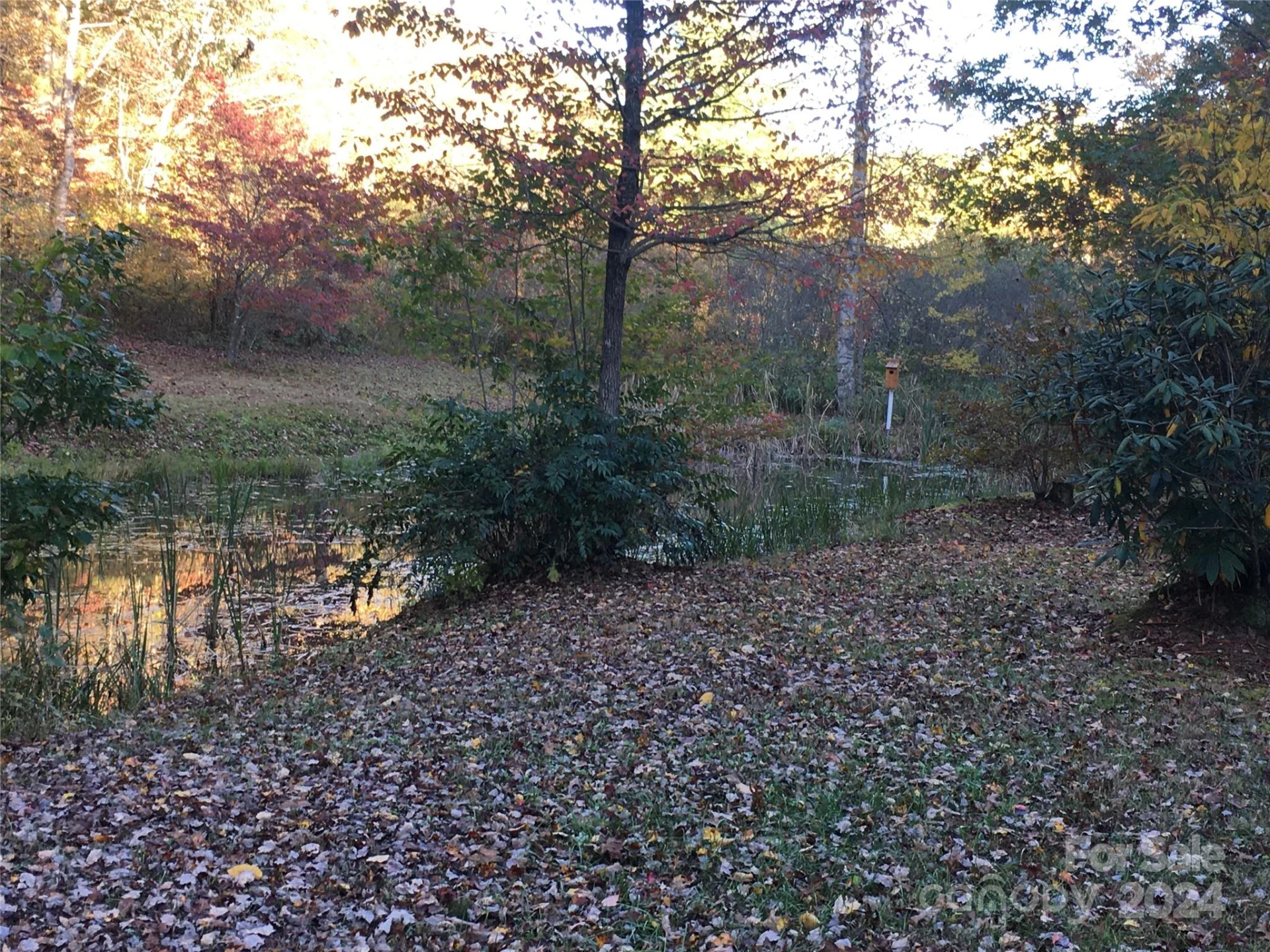 L 3 Sweetwater Ridge Road - Photo 28