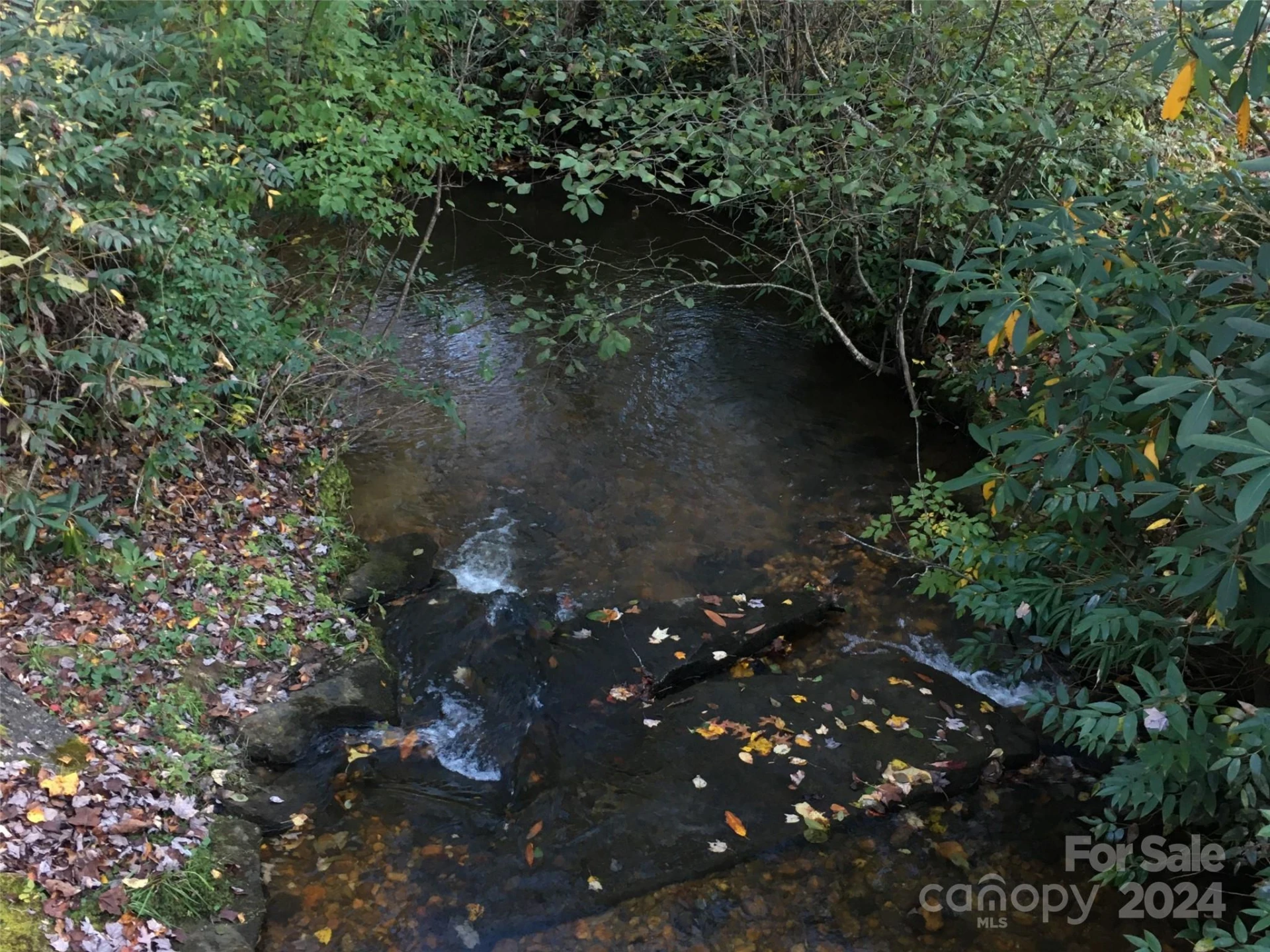 L 3 Sweetwater Ridge Road - Photo 31