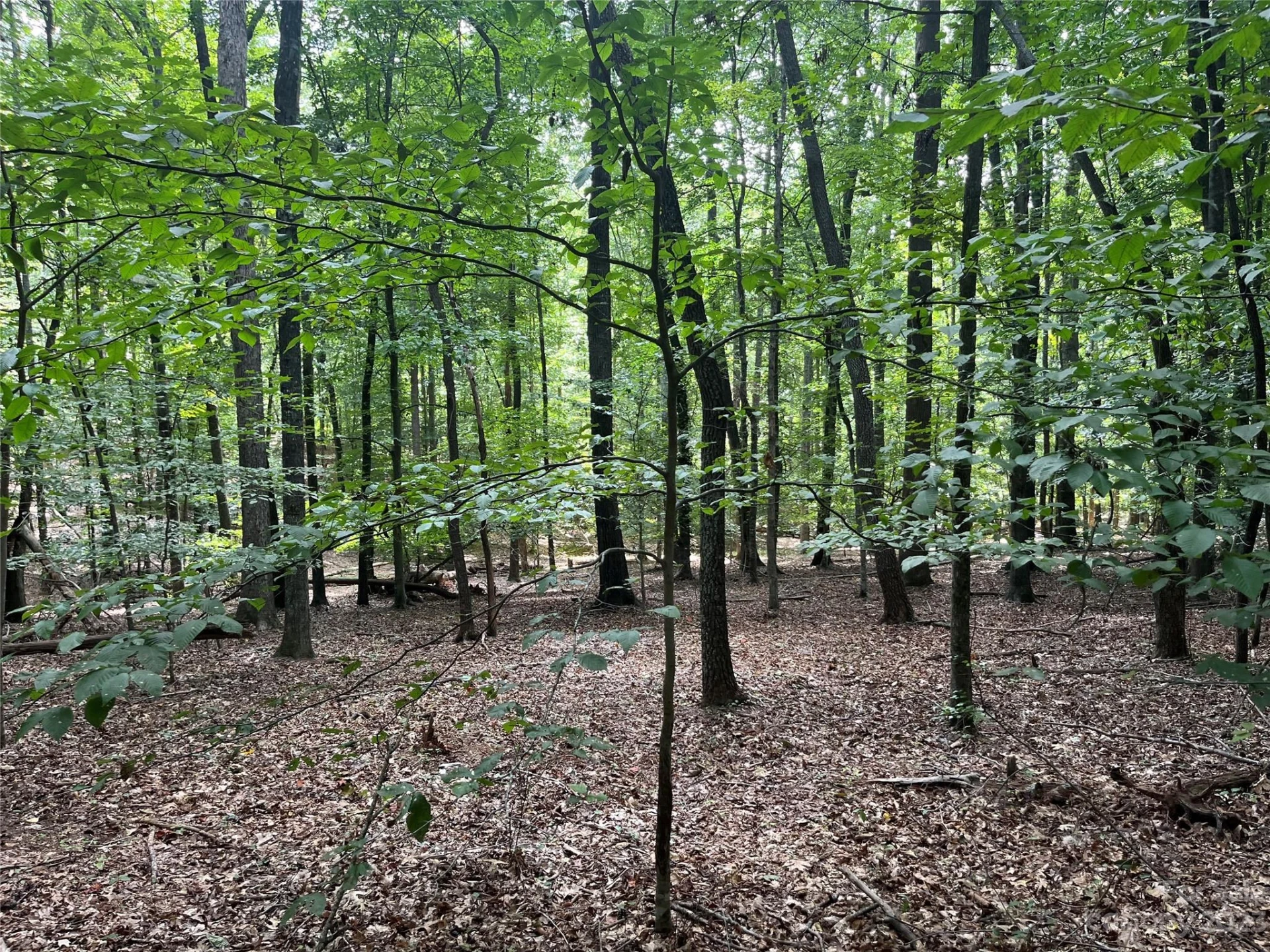 0 Fox Mountain Road #9 - Photo 4