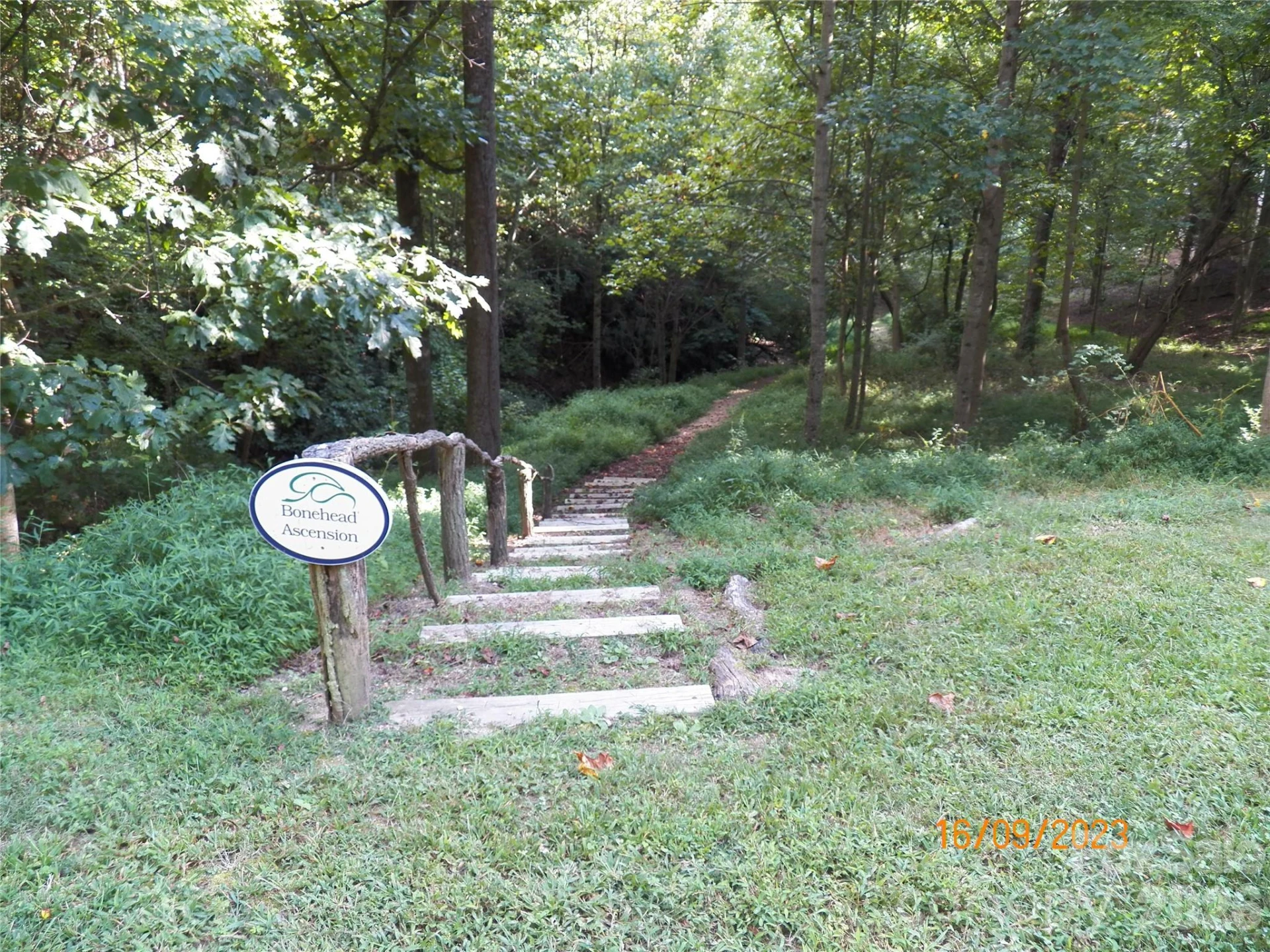 270 Somersby Parkway - Photo 3