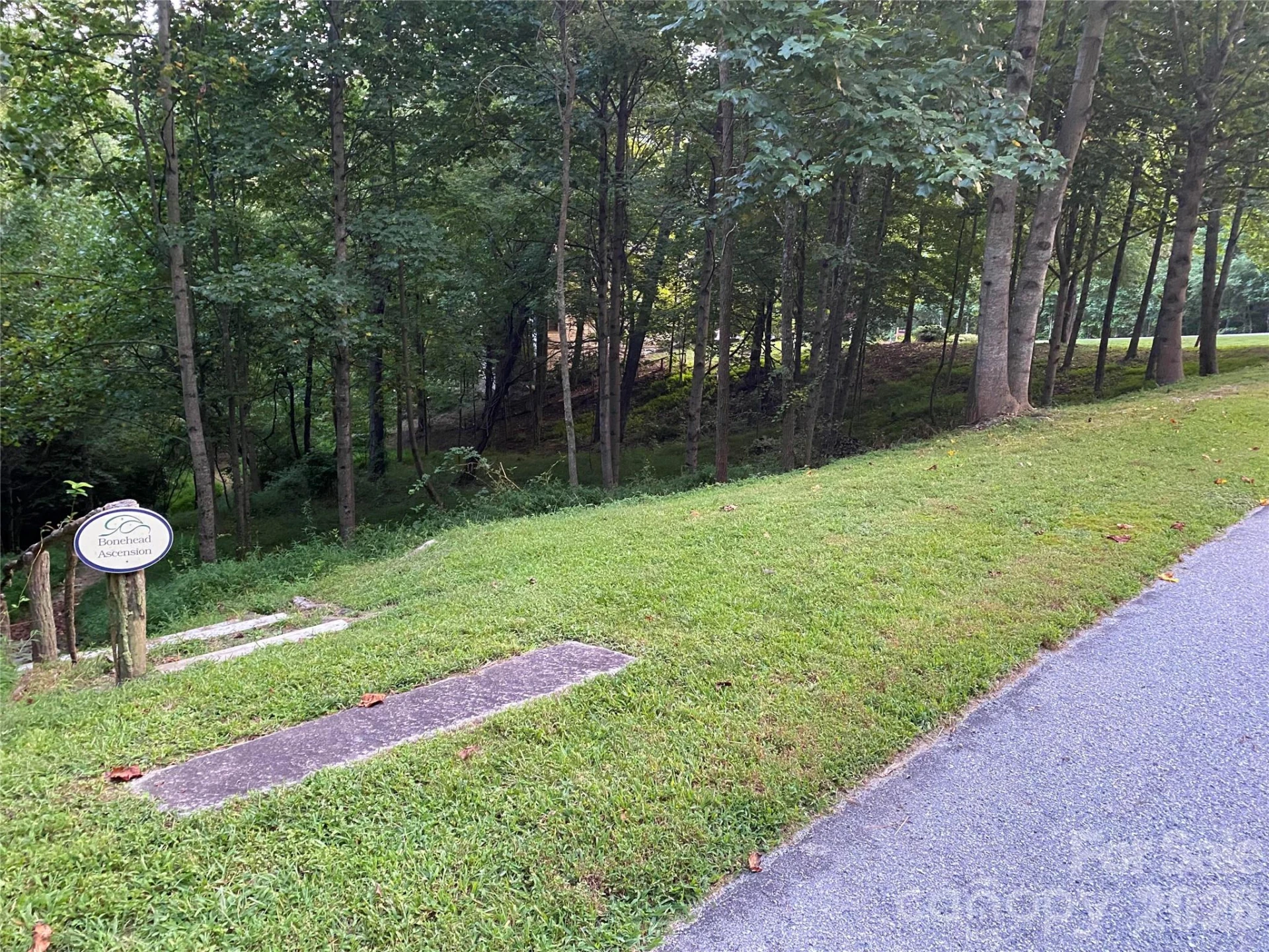 270 Somersby Parkway - Photo 5