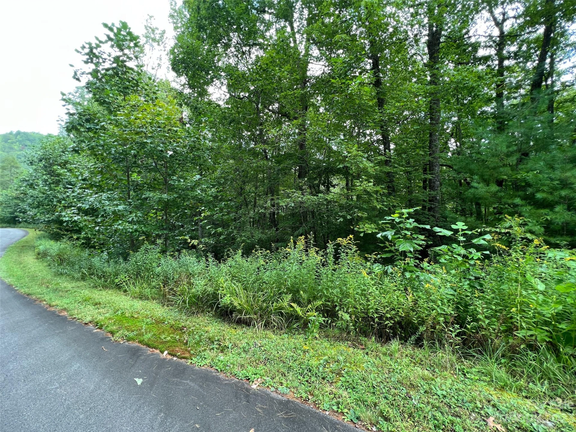 103 Laurel Thicket Lane - Photo 3