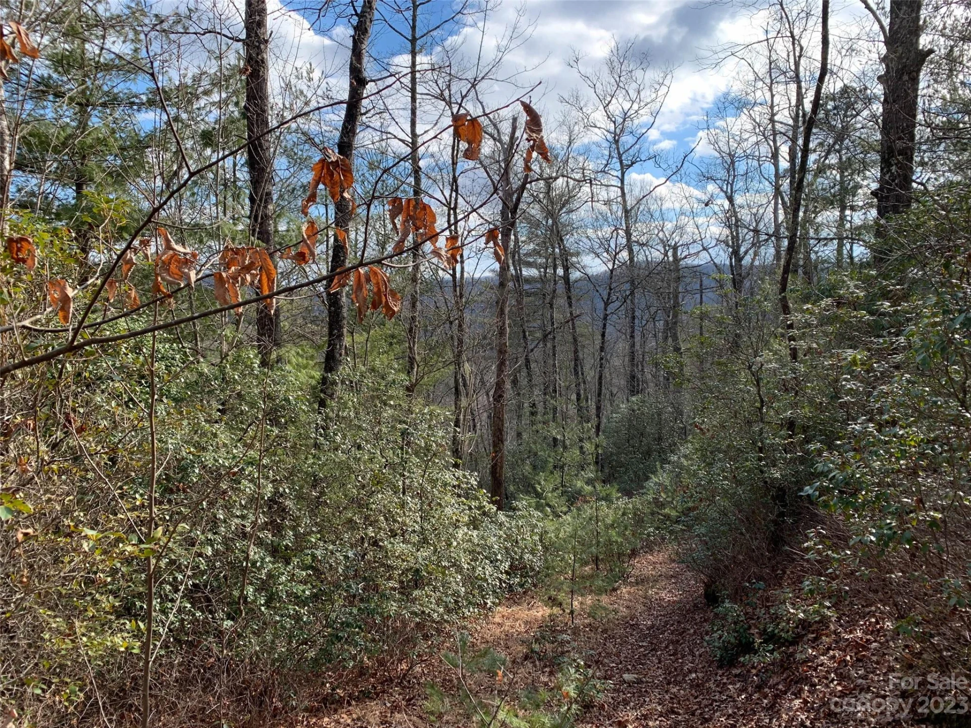 91 Laurel Thicket Lane - Photo 3