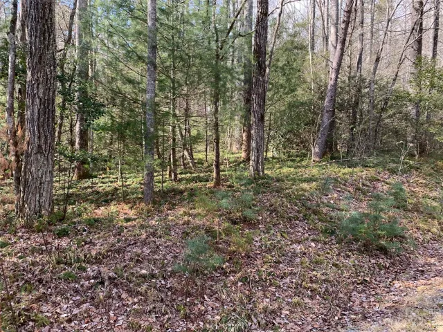 126 Green Hollow Lane