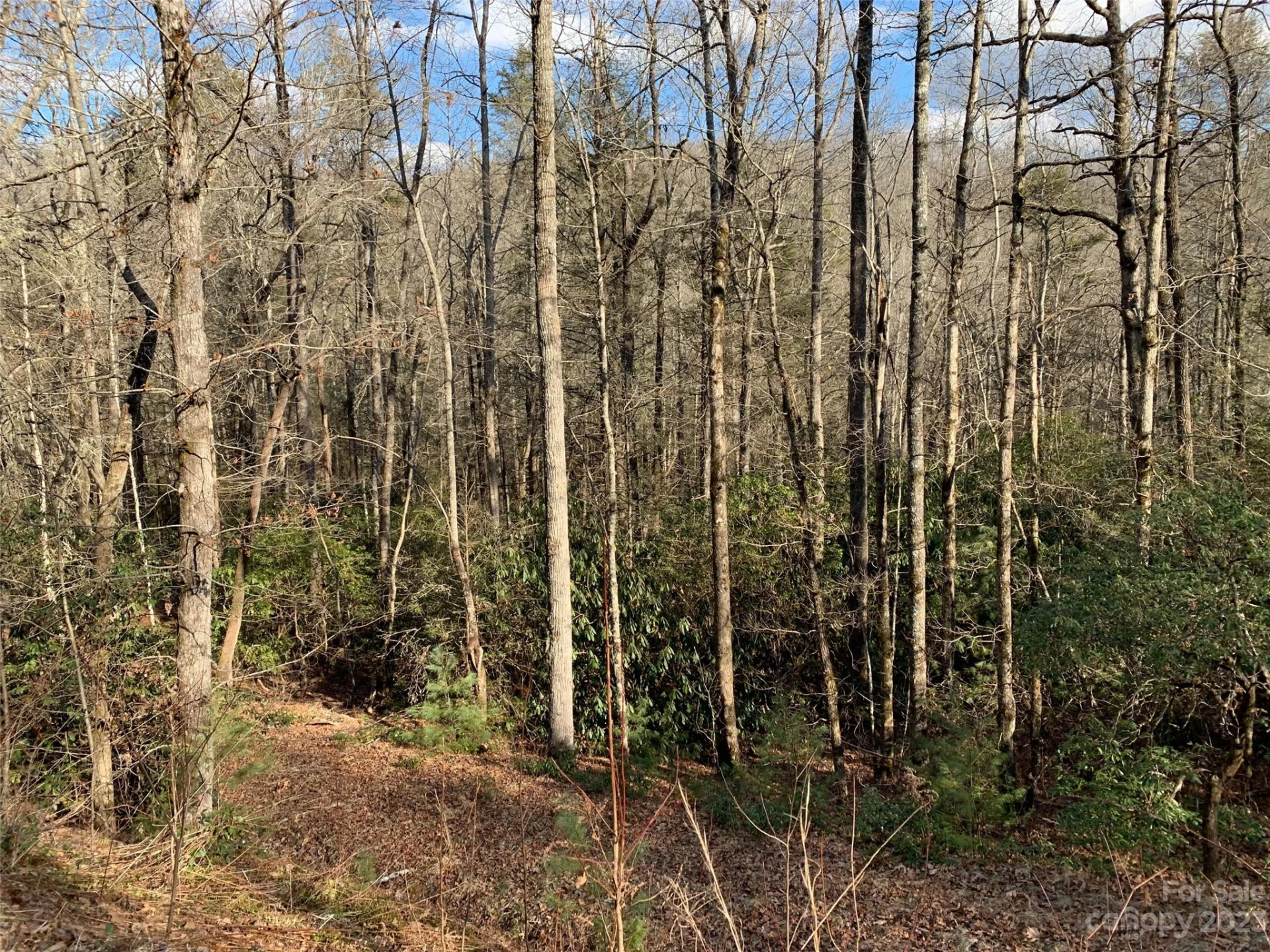 126 Green Hollow Lane - Photo 5