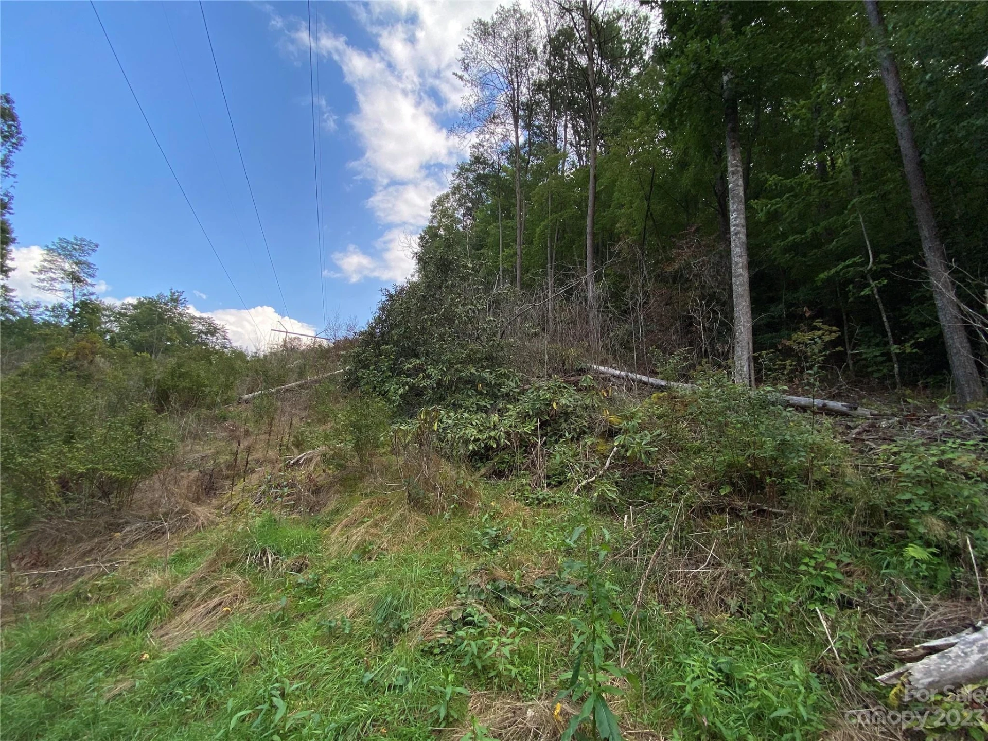00000 Screech Owl Drive - Photo 11