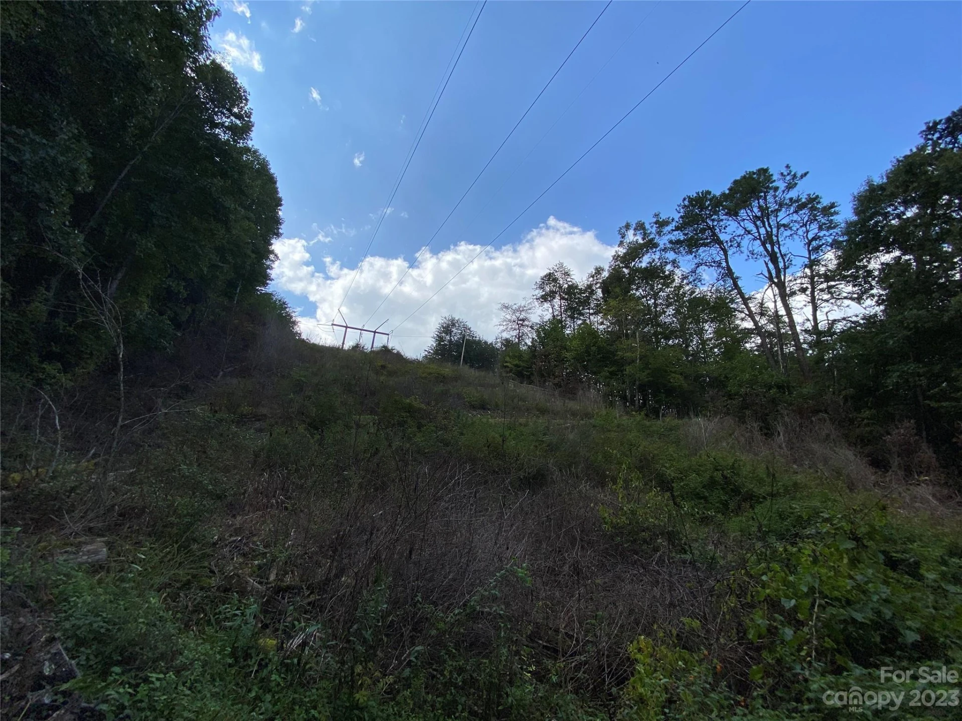 00000 Screech Owl Drive - Photo 12