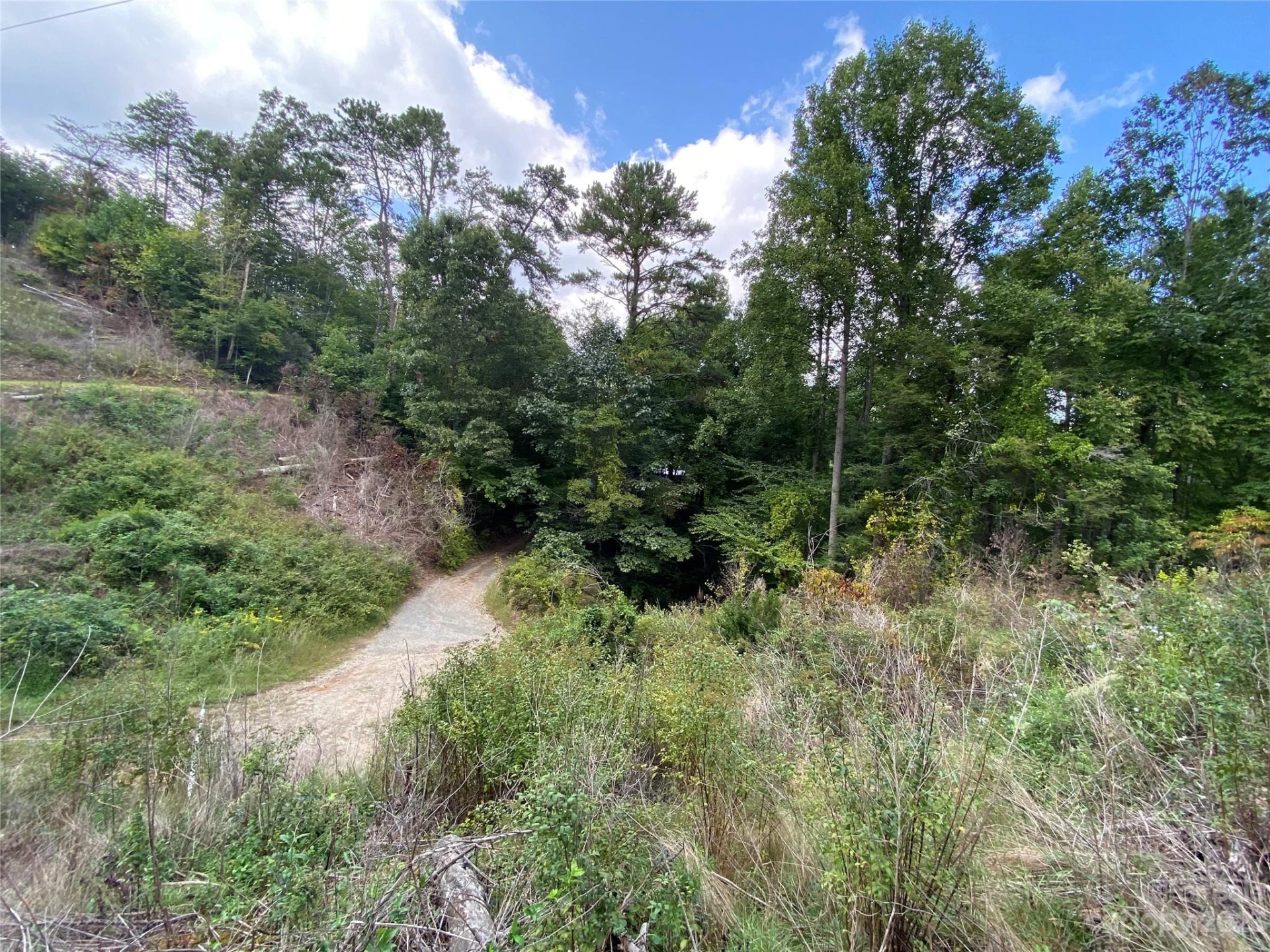 00000 Screech Owl Drive - Photo 14