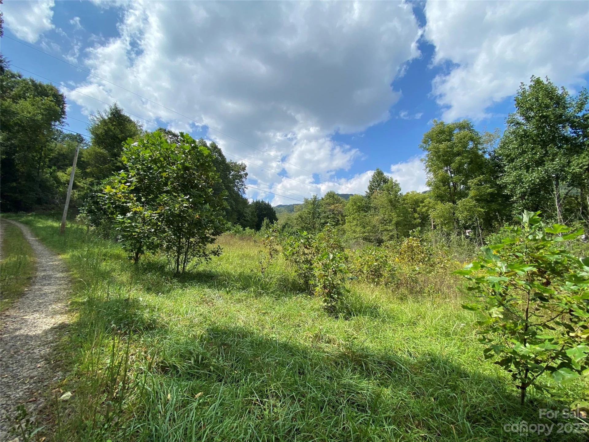 00000 Screech Owl Drive - Photo 3