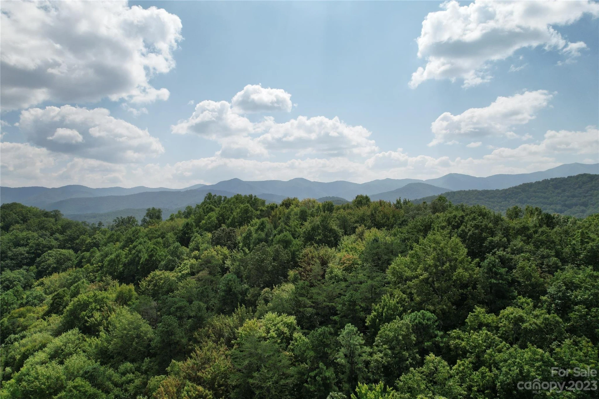 00000 Screech Owl Drive - Photo 5