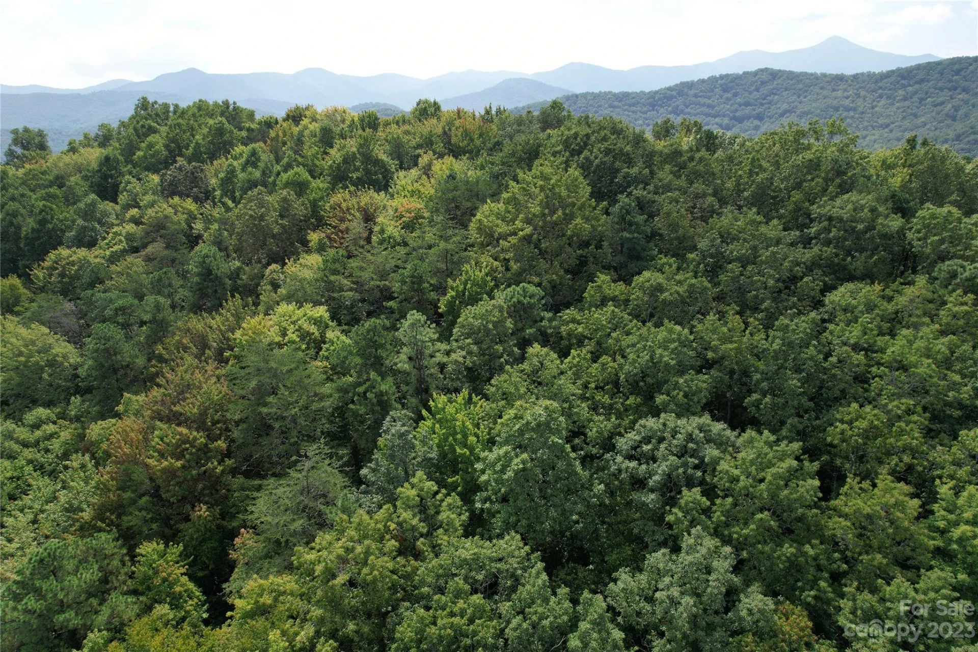 00000 Screech Owl Drive - Photo 6