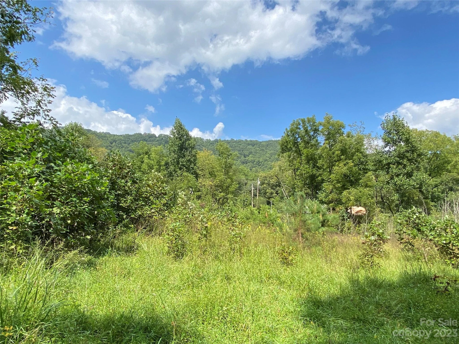 00000 Screech Owl Drive - Photo 8