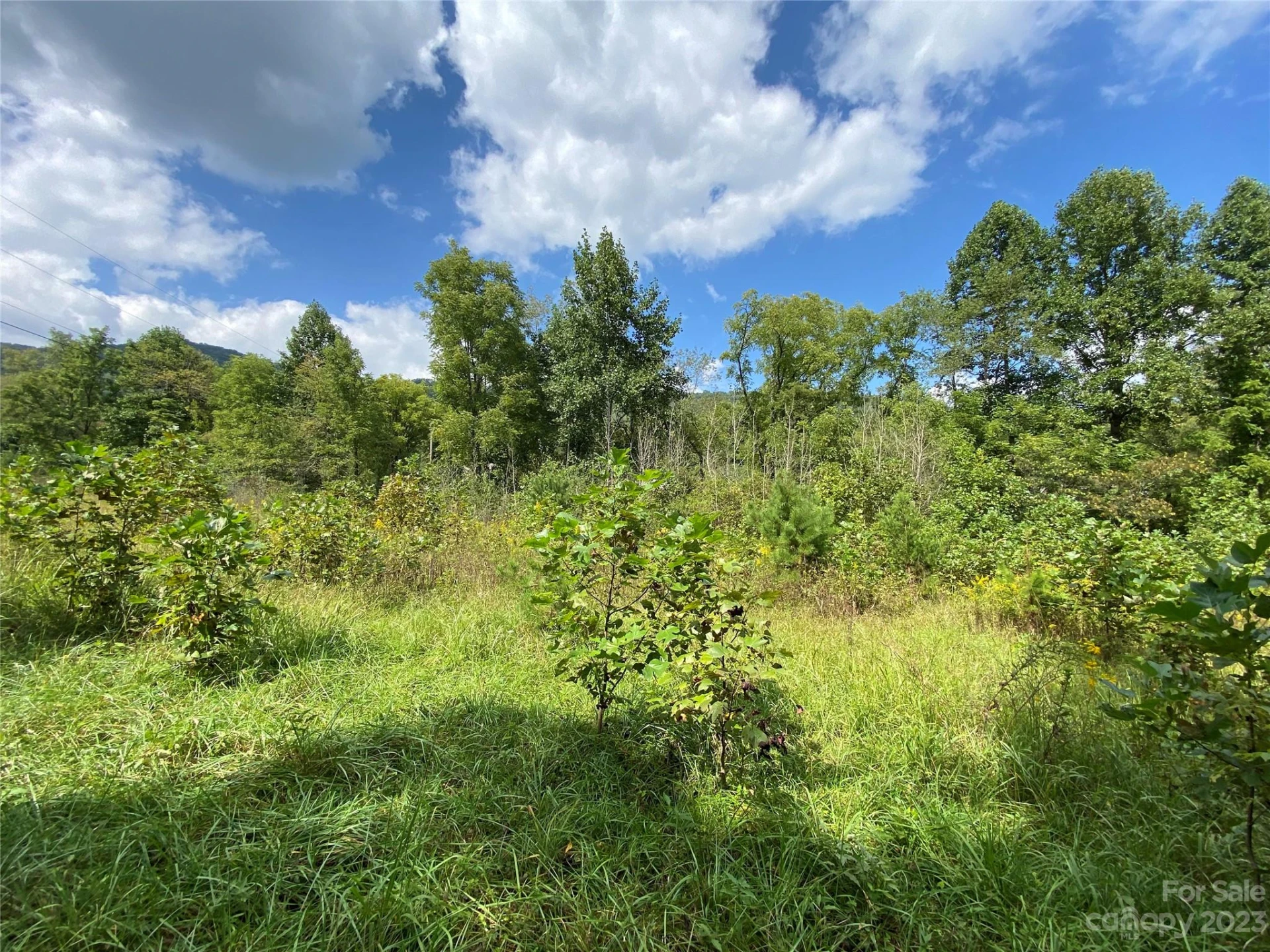 00000 Screech Owl Drive - Photo 9