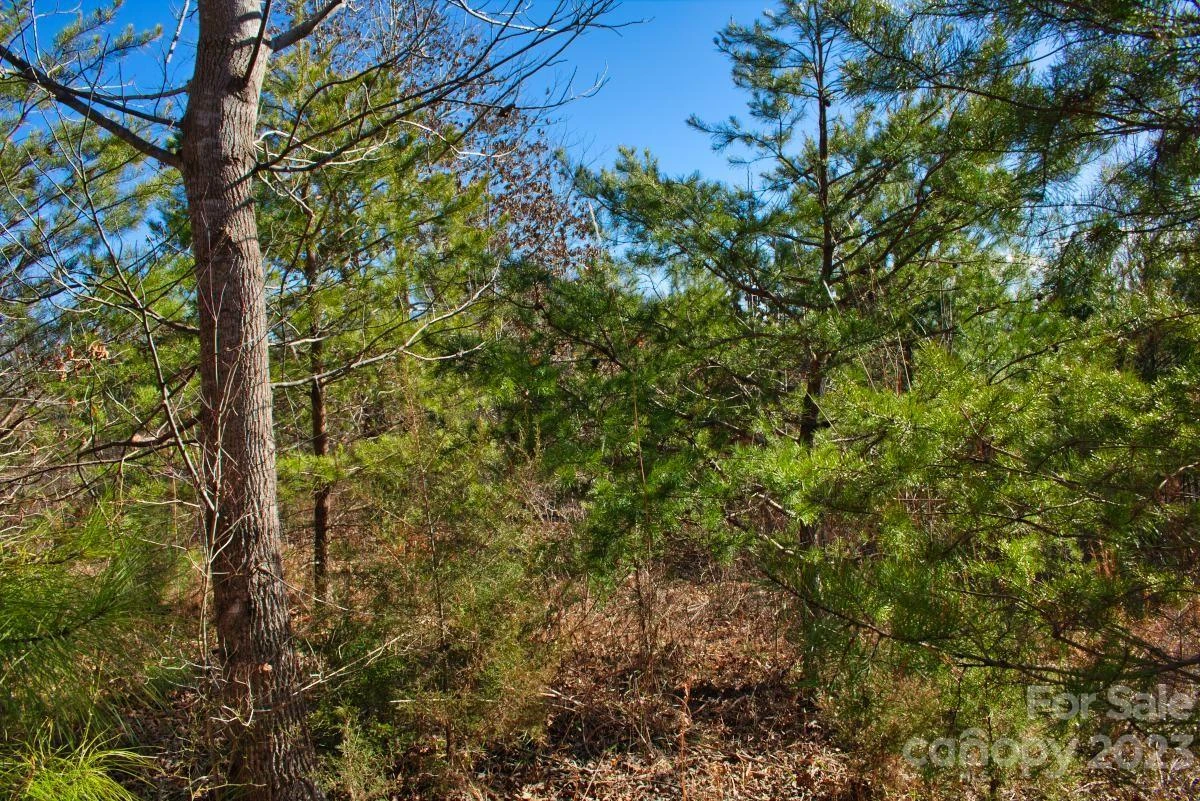 0 Whitestone Circle #81 - Photo 3