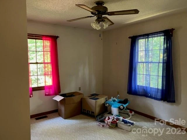 2752 Old Highway 221 None S - Photo 13
