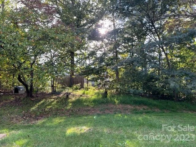 2752 Old Highway 221 None S - Photo 39