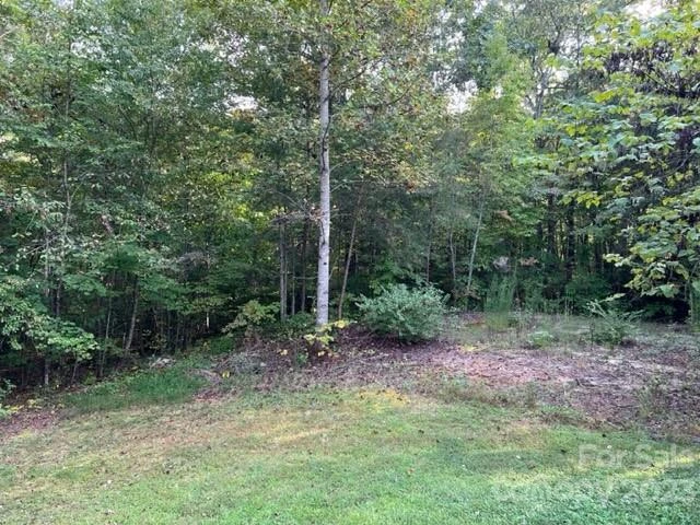 2752 Old Highway 221 None S - Photo 46