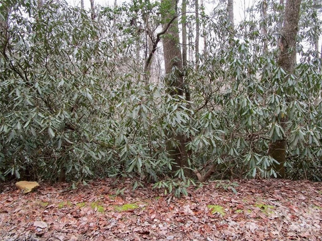 Lot #22 Toxaway Falls Drive - Photo 12