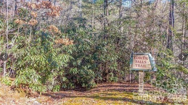 Lot #22 Toxaway Falls Drive - Photo 14