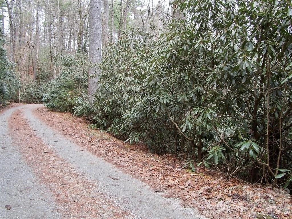 Lot #22 Toxaway Falls Drive - Photo 5