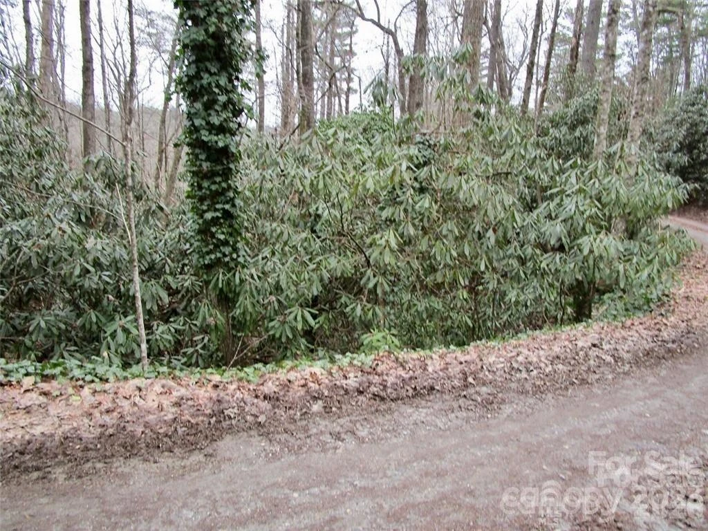 Lot #22 Toxaway Falls Drive - Photo 6