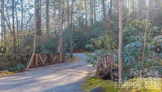 Lot #22 Toxaway Falls Drive - Photo 10