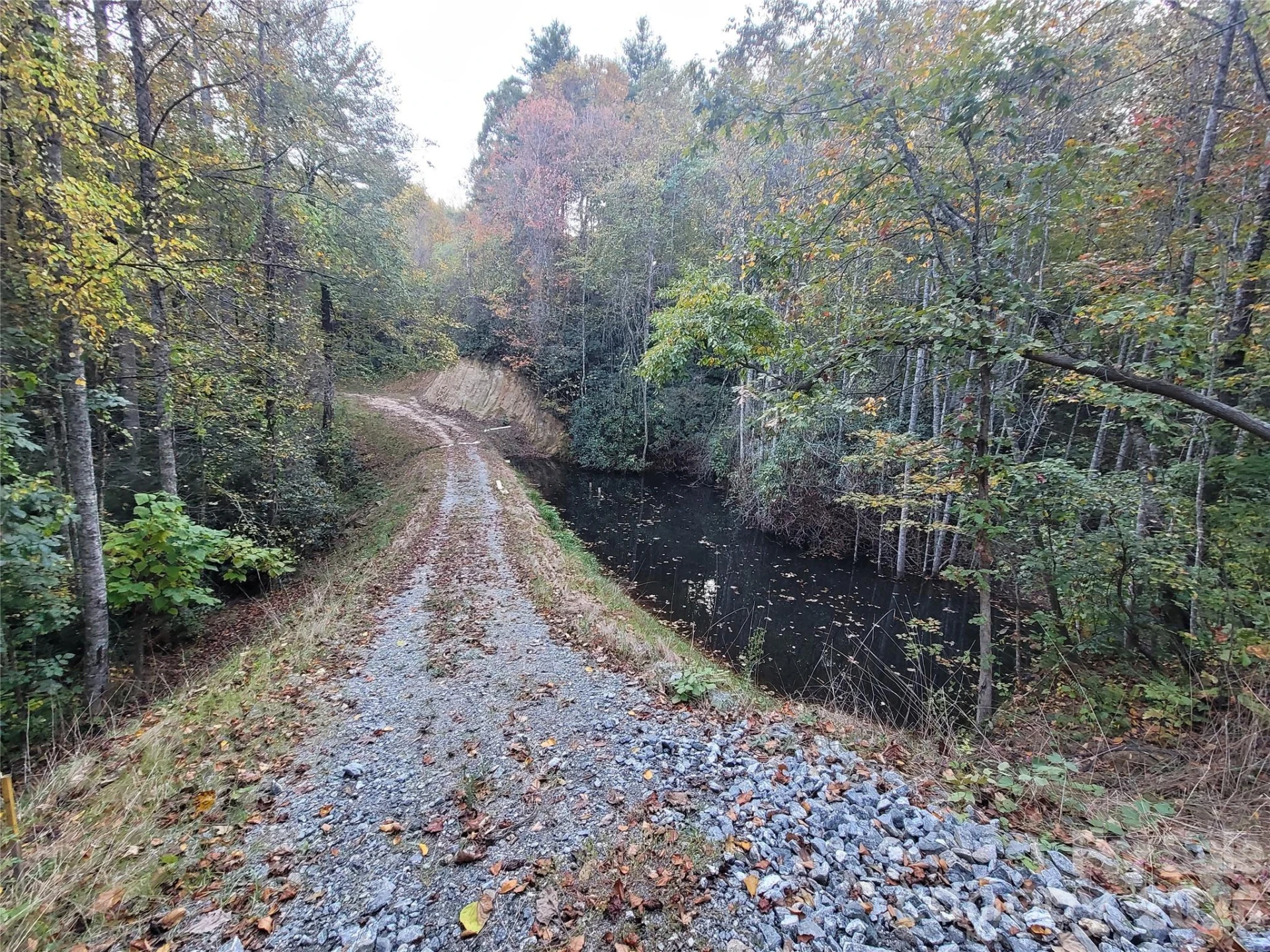 0 Big Hungry Road - Photo 11