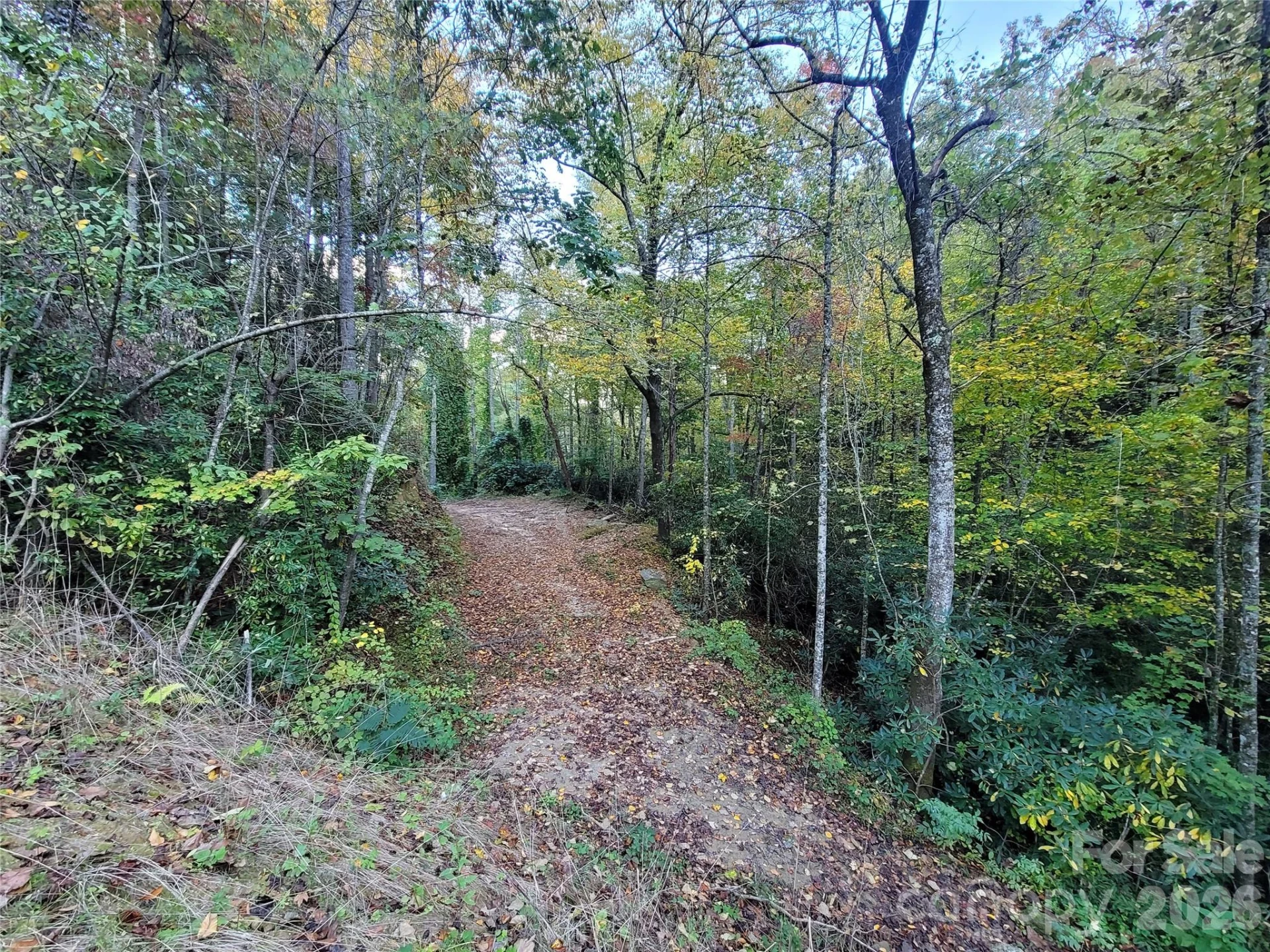 0 Big Hungry Road - Photo 12