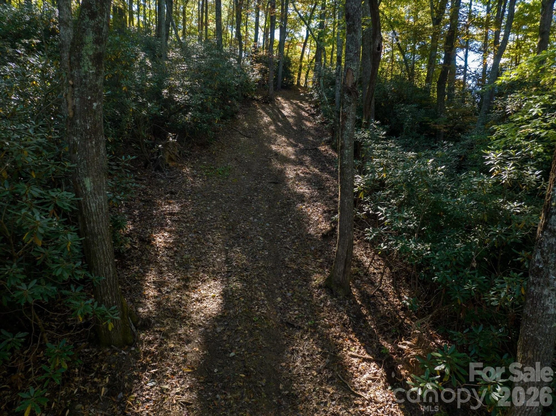 0 Big Hungry Road - Photo 15