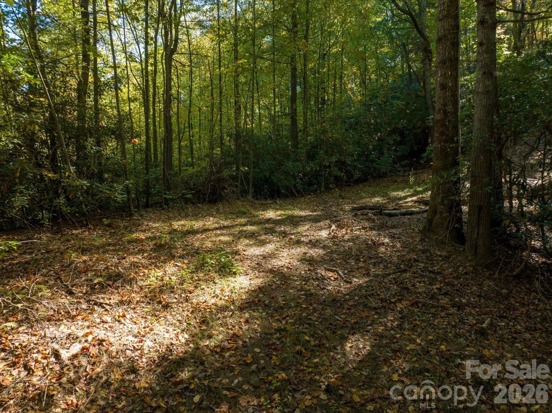 0 Big Hungry Road - Photo 17