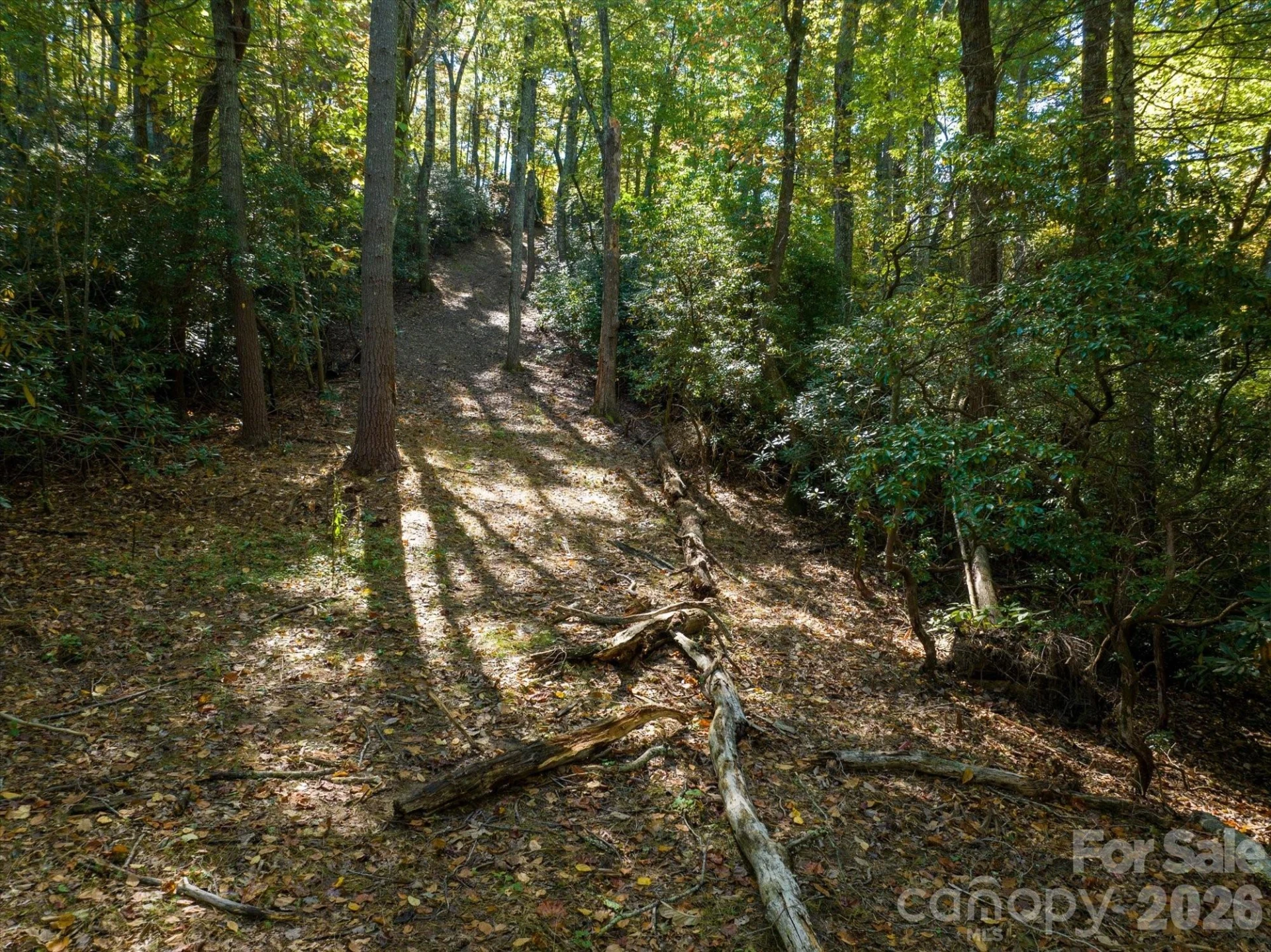 0 Big Hungry Road - Photo 18