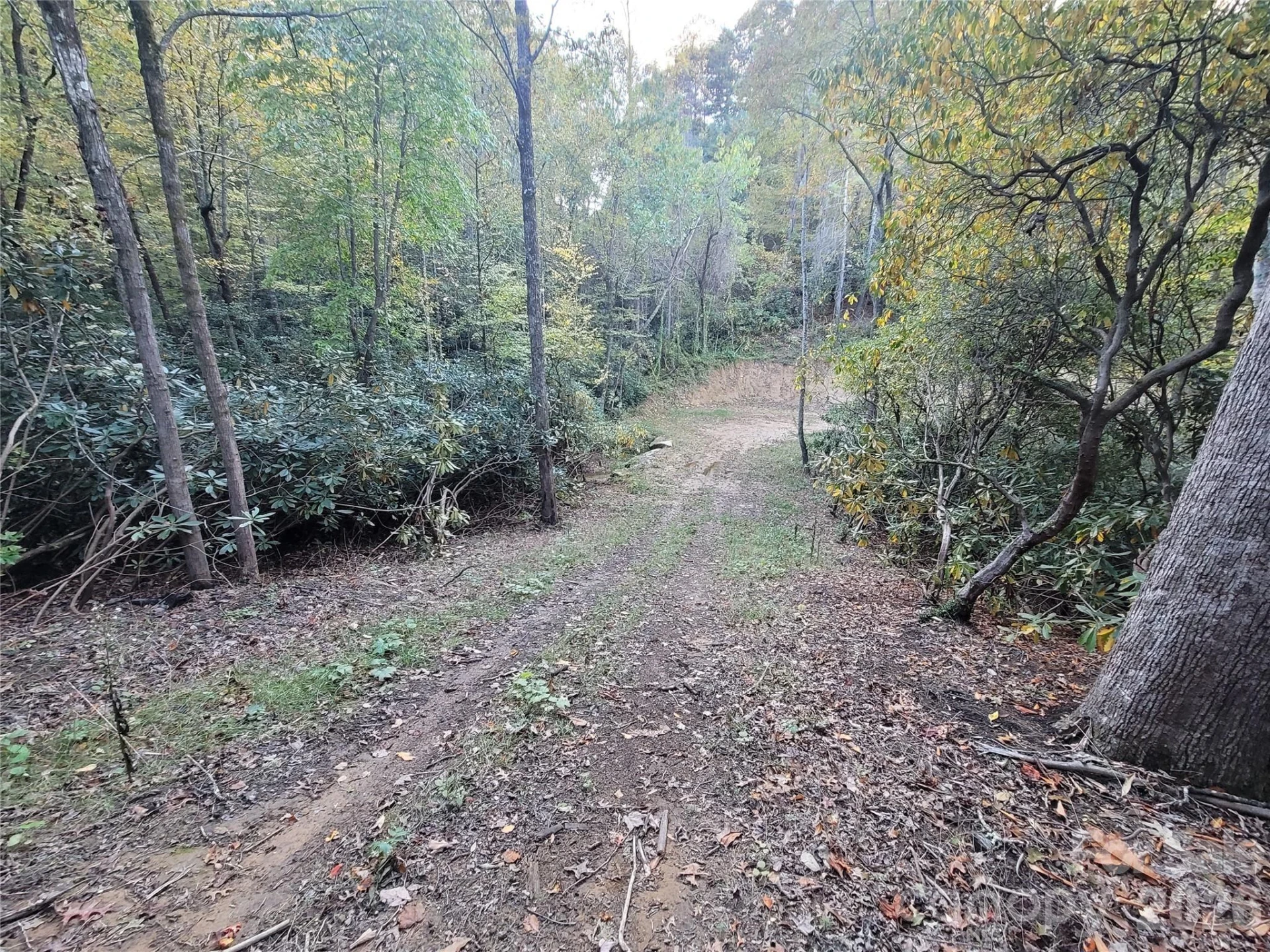 0 Big Hungry Road - Photo 23